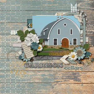 Blue Barn