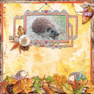 Hedgehog