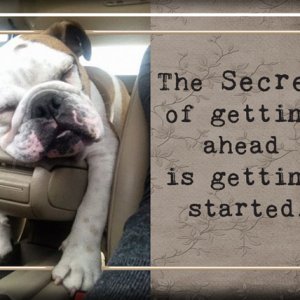 The Secret