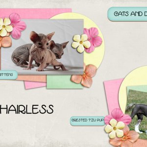 Hairless