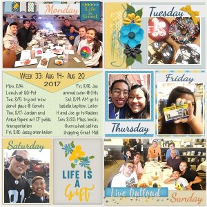 Week 33: Aug 14- Aug 20, 2017