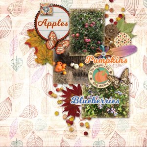 Fall Inspiration