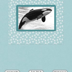 Shamu