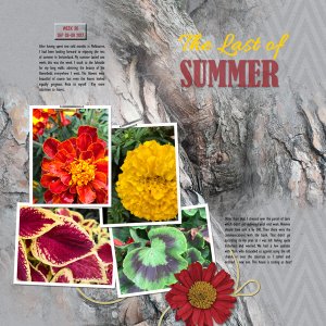 The Last of Summer