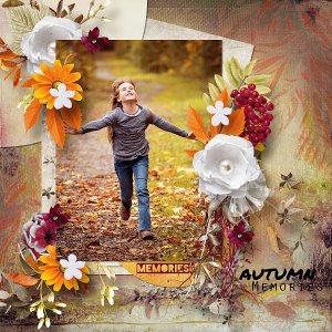 Autumn Memories