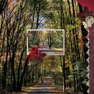 Autumn Walk