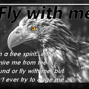 Fly with me