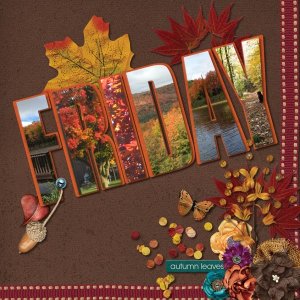 Fall Leaves