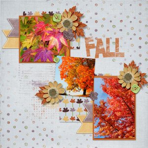 Fall