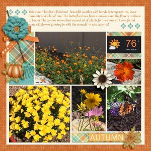 Fall at Home2