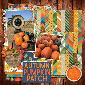 Autumn Pumpkin Patch