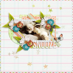 snooze