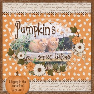 Pumpkin's Kittens