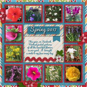 Spring Flowers 2017
