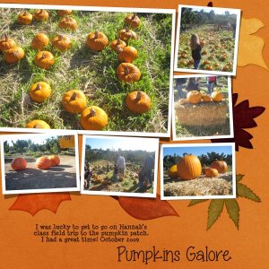 Pumpkins Galore