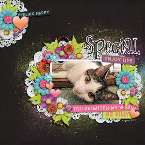 Special