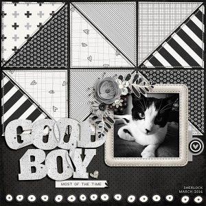 Good Boy