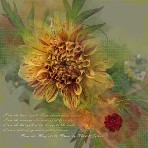 Song of the Flower