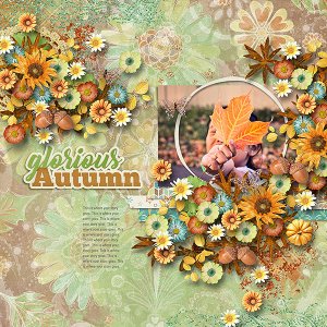 Glorious Autumn