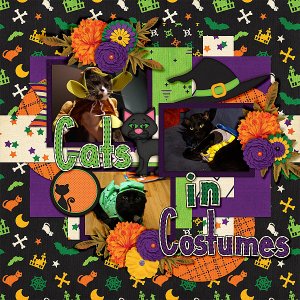 cats-in-costumes