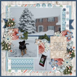 Cold-Of-Winter
