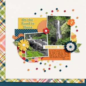On the Road to Hana