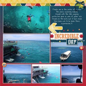 Incredible Day