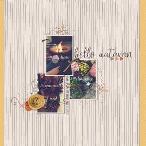 Signs of Fall | September 2017