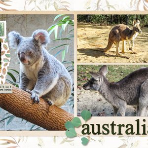 Columbus Zoo - Australia
