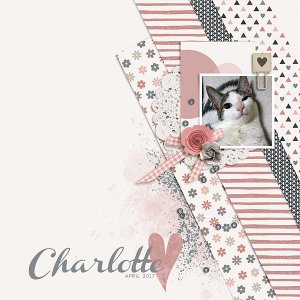 Charlottte