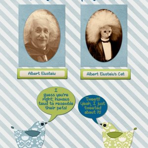 Einstein and his Cat