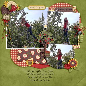 Apple picking