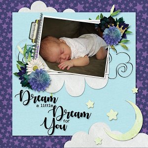 Land of Dreams Lily