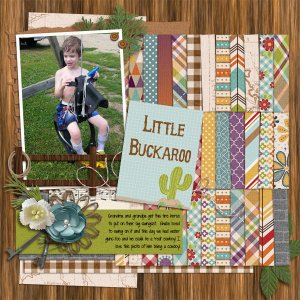 cmg_oct2017-template-challenge-wc-blazin-saddle-bundle
