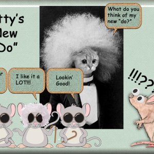 Kitty's New "Do"