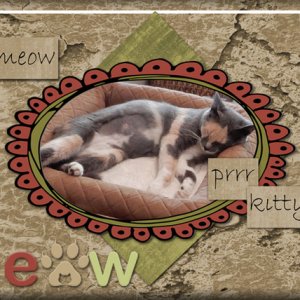 Meow