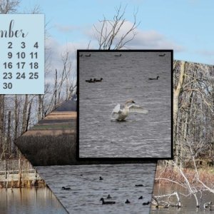 November_20171