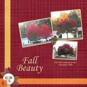 Fall Beauty
