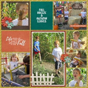 Whites Country Farm