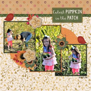 Cutest Pumpkin in the Patch