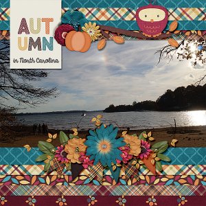 autumn_in_nc_lake_norman