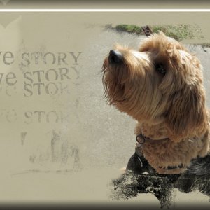 Love Story