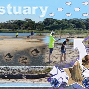 St Lucia Estuary 02