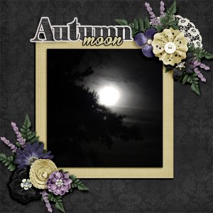 Autumn-moon
