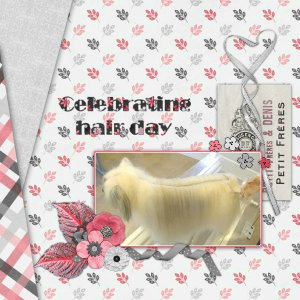 celebrating_hair_day
