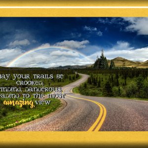 Crooked Trails