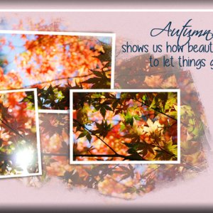 ATC 2017-154 Autumn