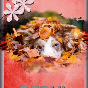 Autumn