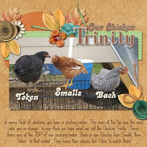 Chicken Trinity