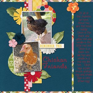 Chicken Friends
